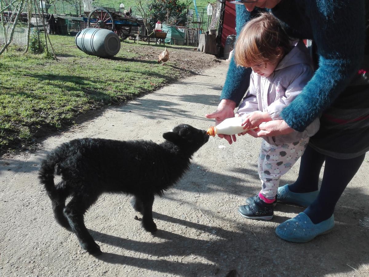 Ovinana  Agroturismo La Casona De Belmonte מראה חיצוני תמונה