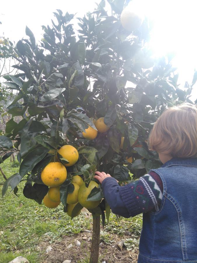Ovinana  Agroturismo La Casona De Belmonte מראה חיצוני תמונה