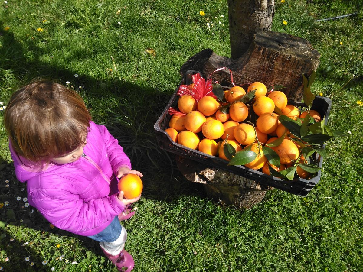 Ovinana  Agroturismo La Casona De Belmonte מראה חיצוני תמונה