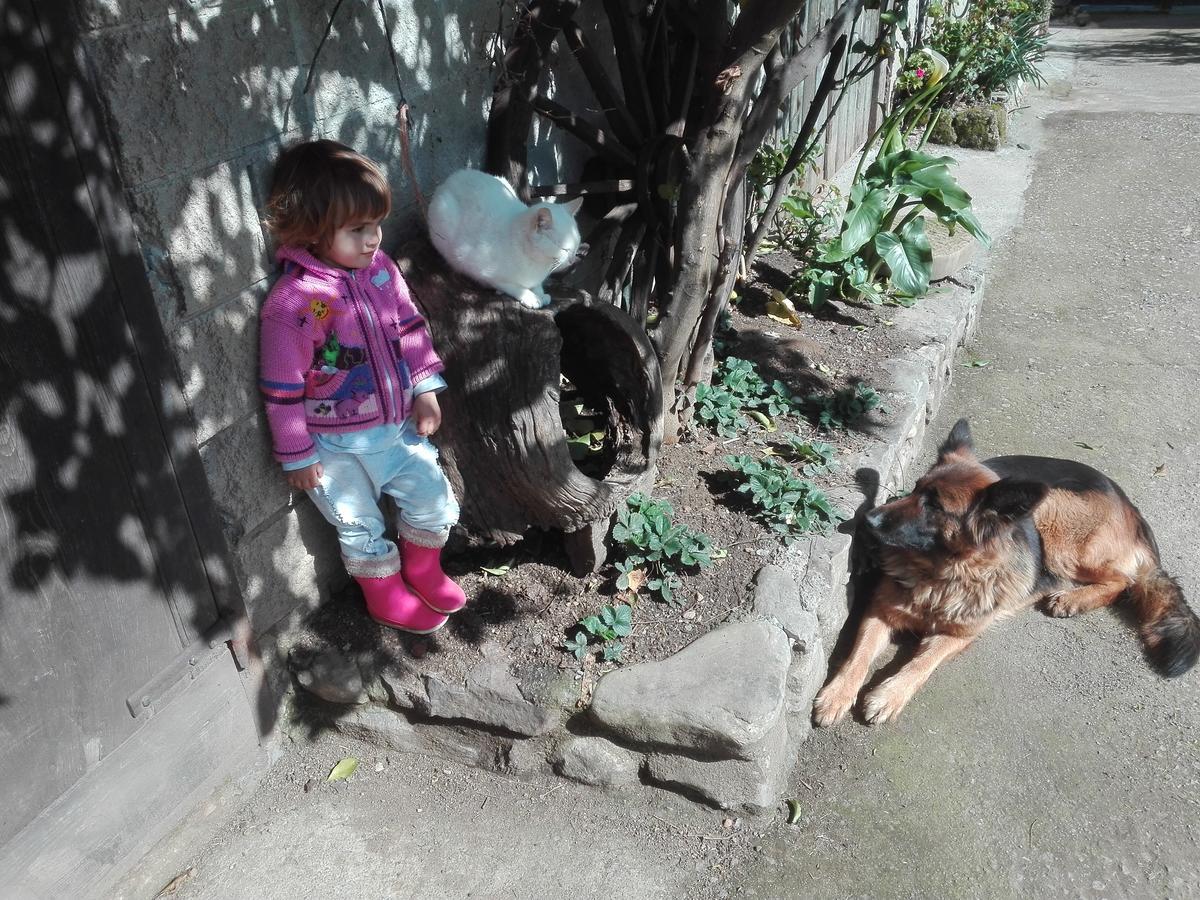 Ovinana  Agroturismo La Casona De Belmonte מראה חיצוני תמונה