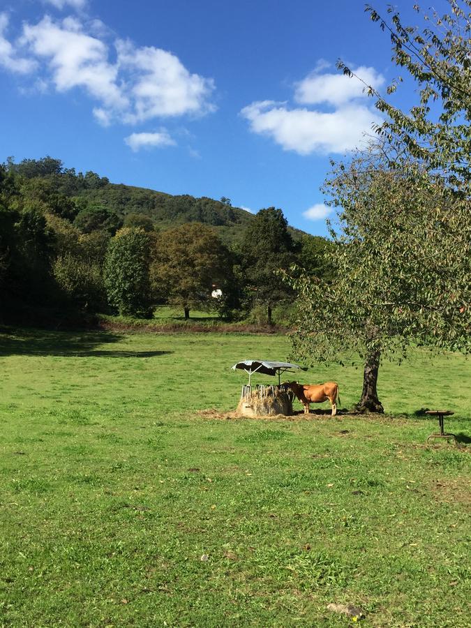 Ovinana  Agroturismo La Casona De Belmonte מראה חיצוני תמונה